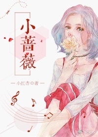 小薔薇小说封面